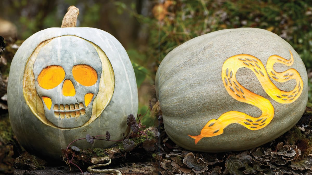 Calabazas calavera y serpiente